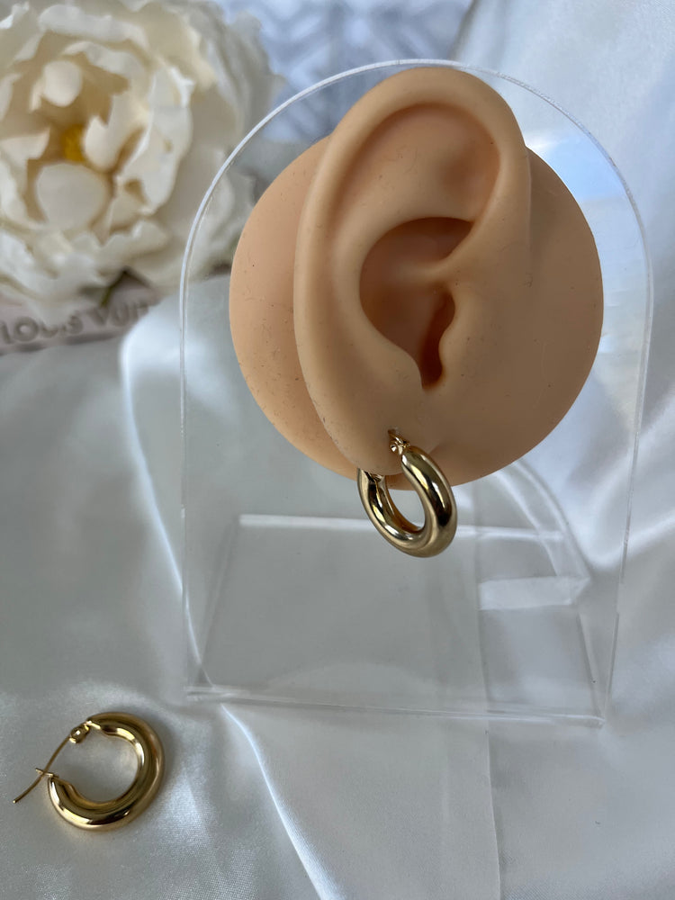 Taylor Chunky Hoop Earrings ELSSIZ