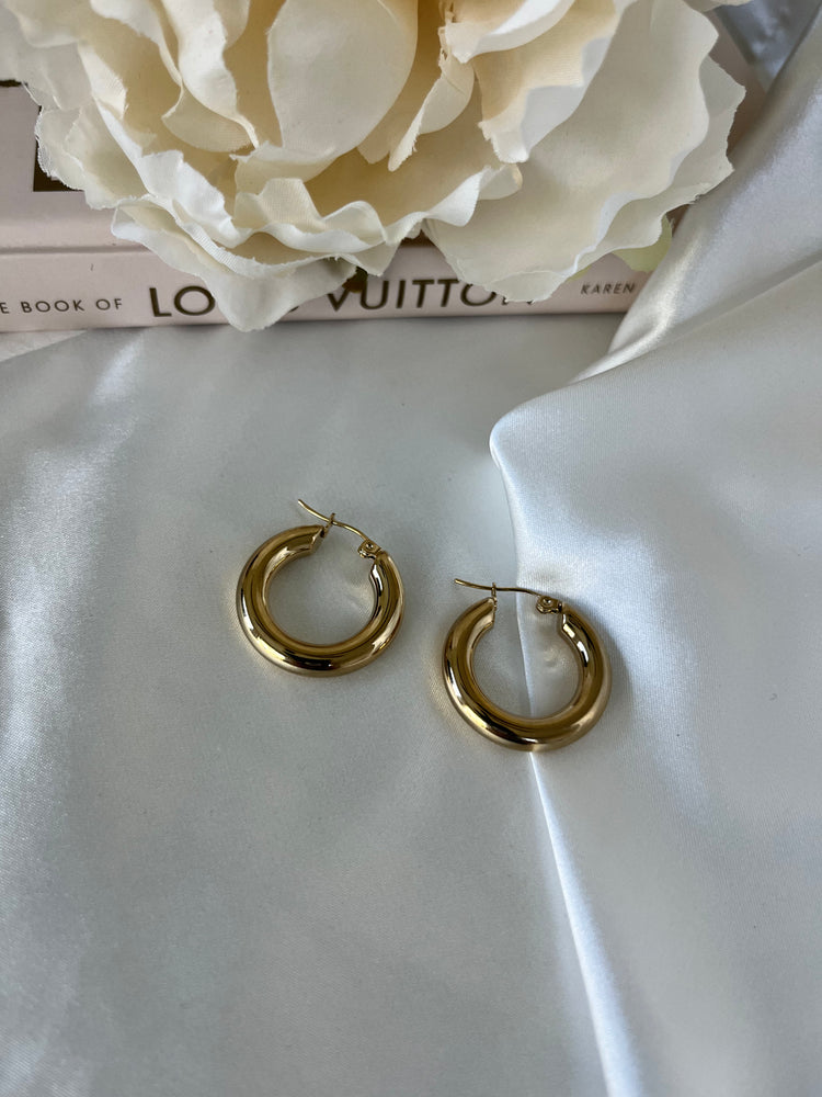 Taylor Chunky Hoop Earrings ELSSIZ